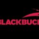 Blackbuck